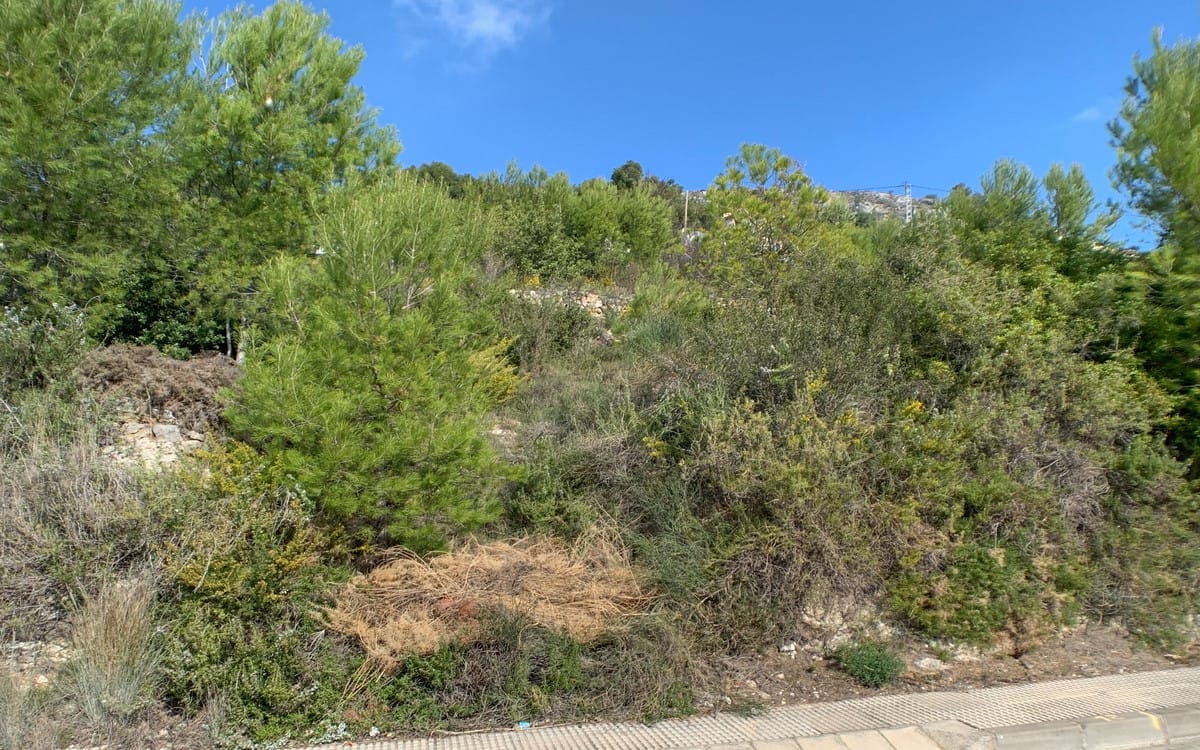 Venta. Parcela en Jalón