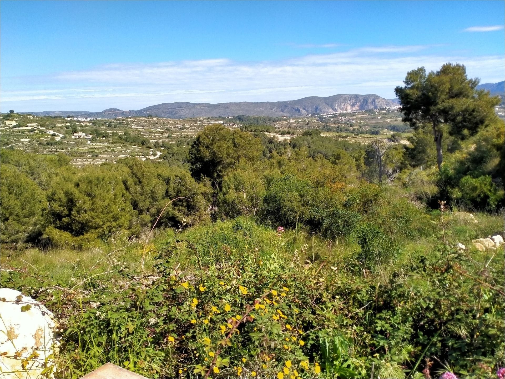 CLDX4932 - Parcela en moraira