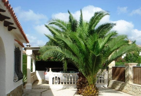 Casa / Chalet en Venta en Pedreguer, Alicante