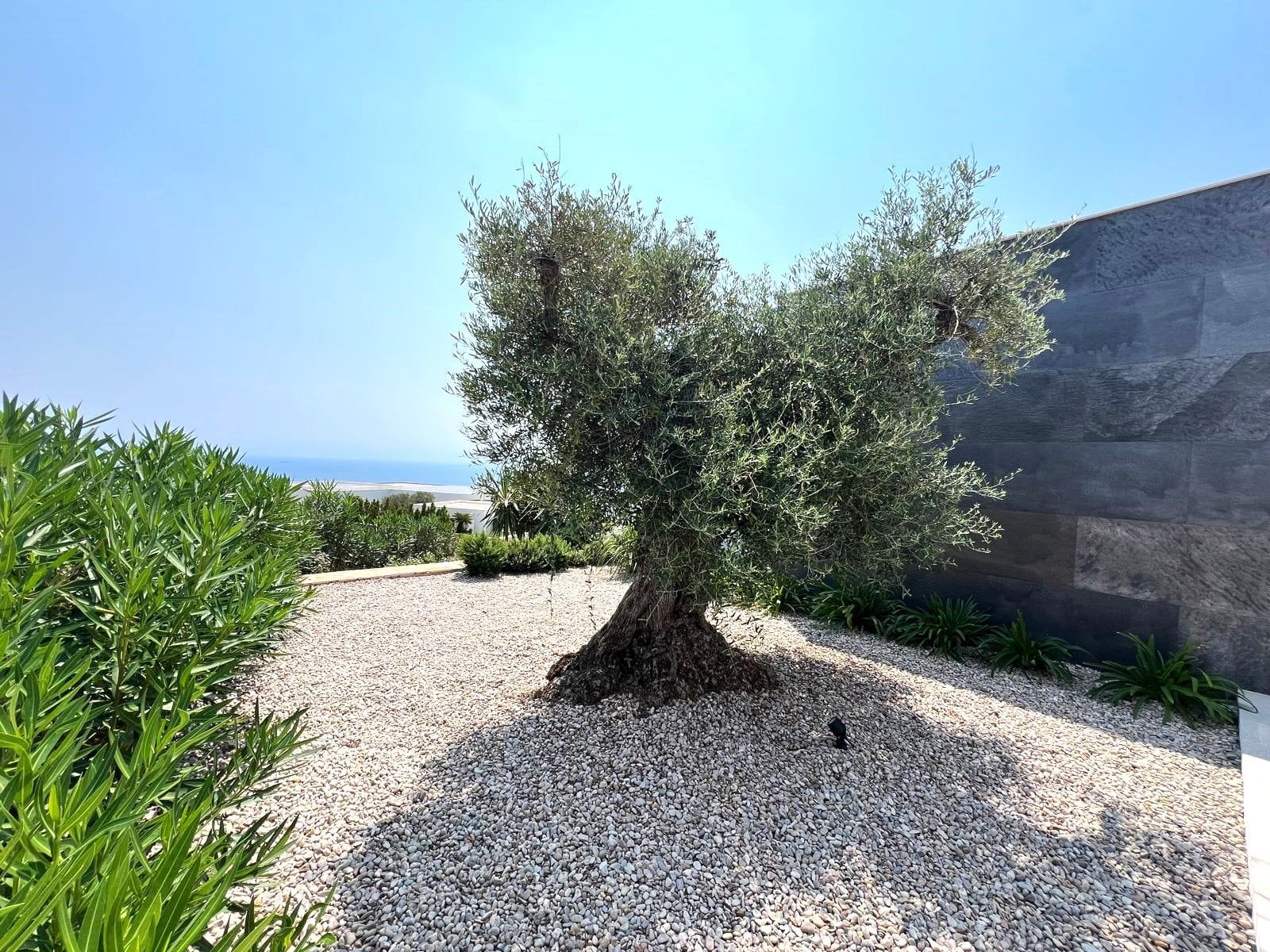 Luxe villa in Moraira met panoramisch uitzicht op zee