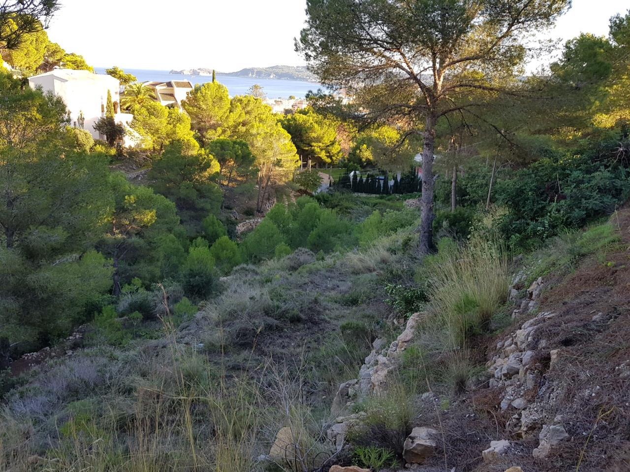 PARCELA EDIFICABLE CON VISTAS AL MAR EN CORONA JÁVEA
