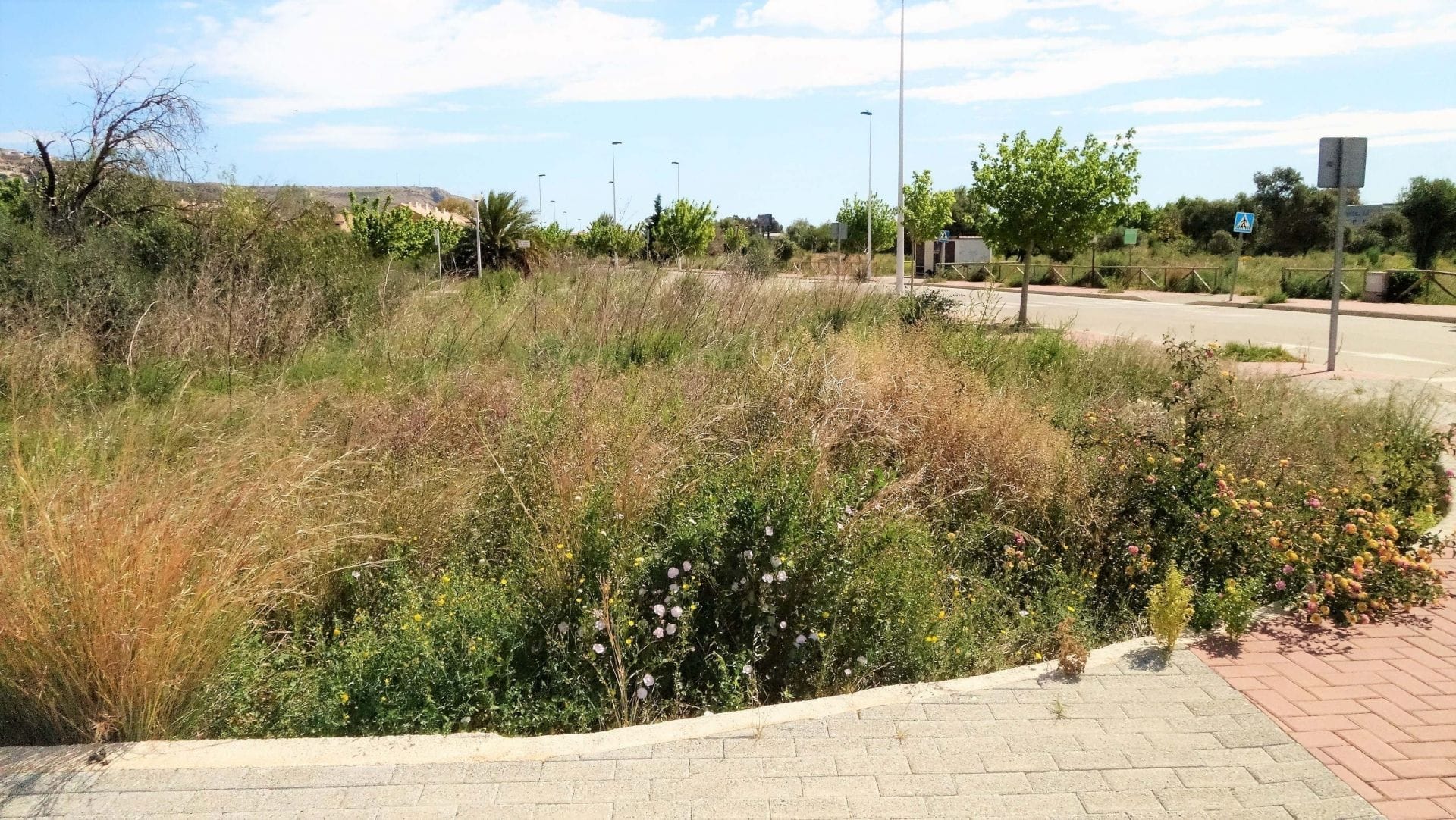 Parcela en Venta en Jávea, Alicante