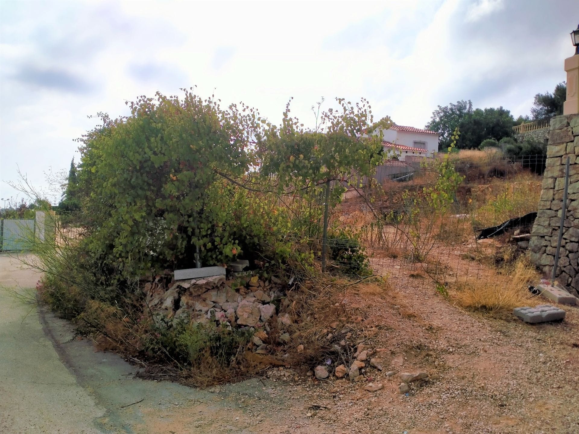 Parcela urbanizable plana en Denia