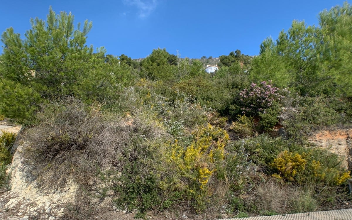 Venta. Parcela en Jalón