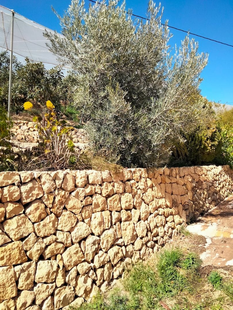 Farm for sale in Por Determinar