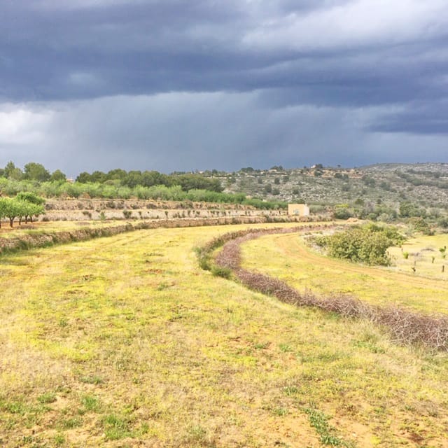 Venta. Parcela en Benissa