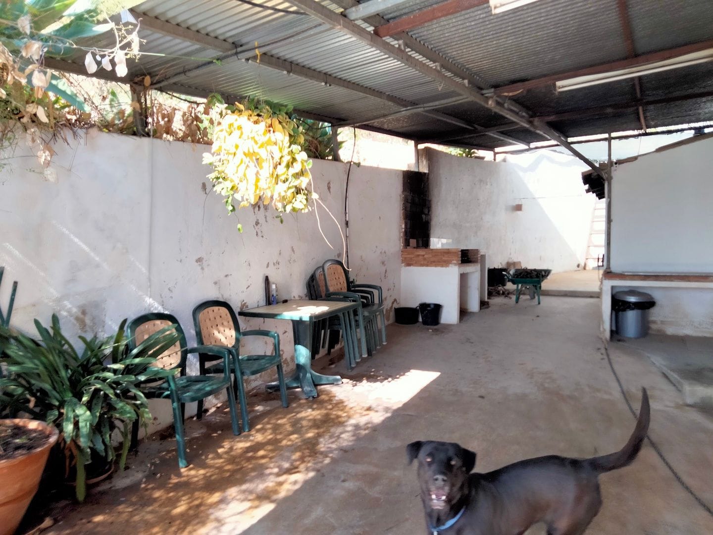 Farm for sale in Por Determinar