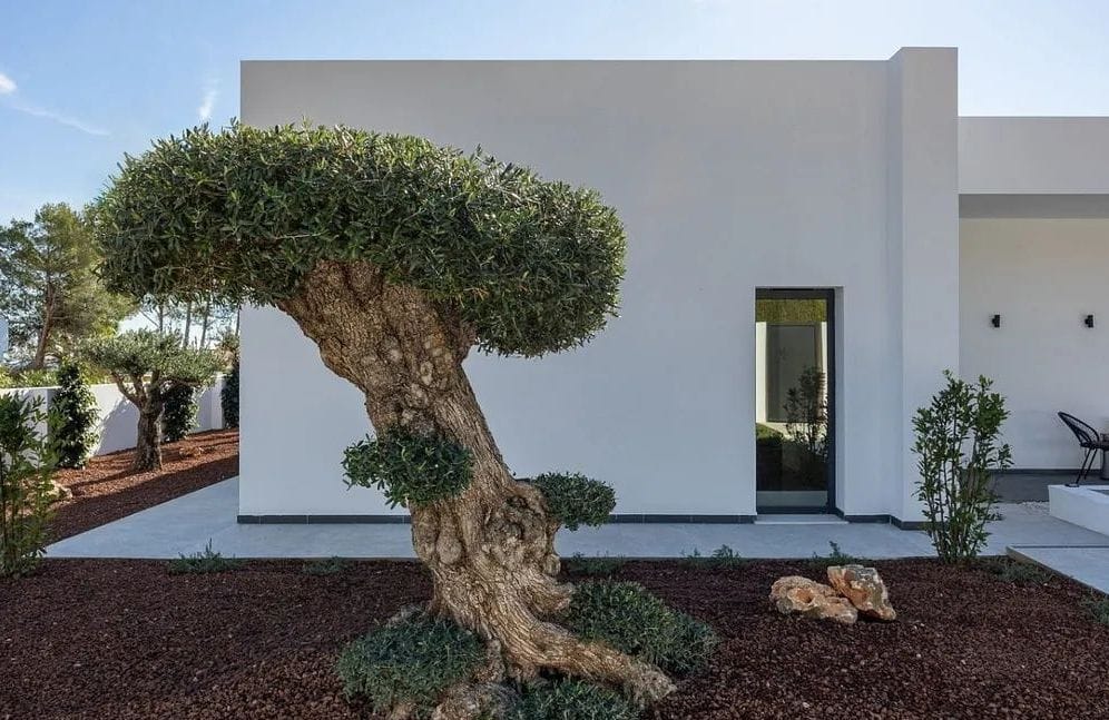 Villa de 4 chambres et piscine à Altea