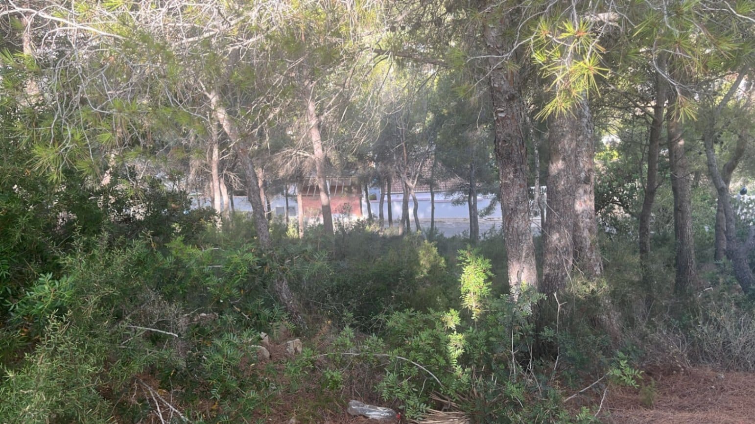 Parcela con vistas al mar y licencia concedida en Moraira