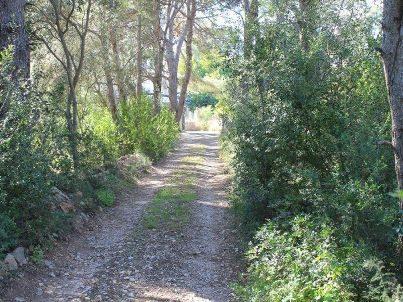 CLDX4735 - Parcela en Venta en Dénia, Alicante