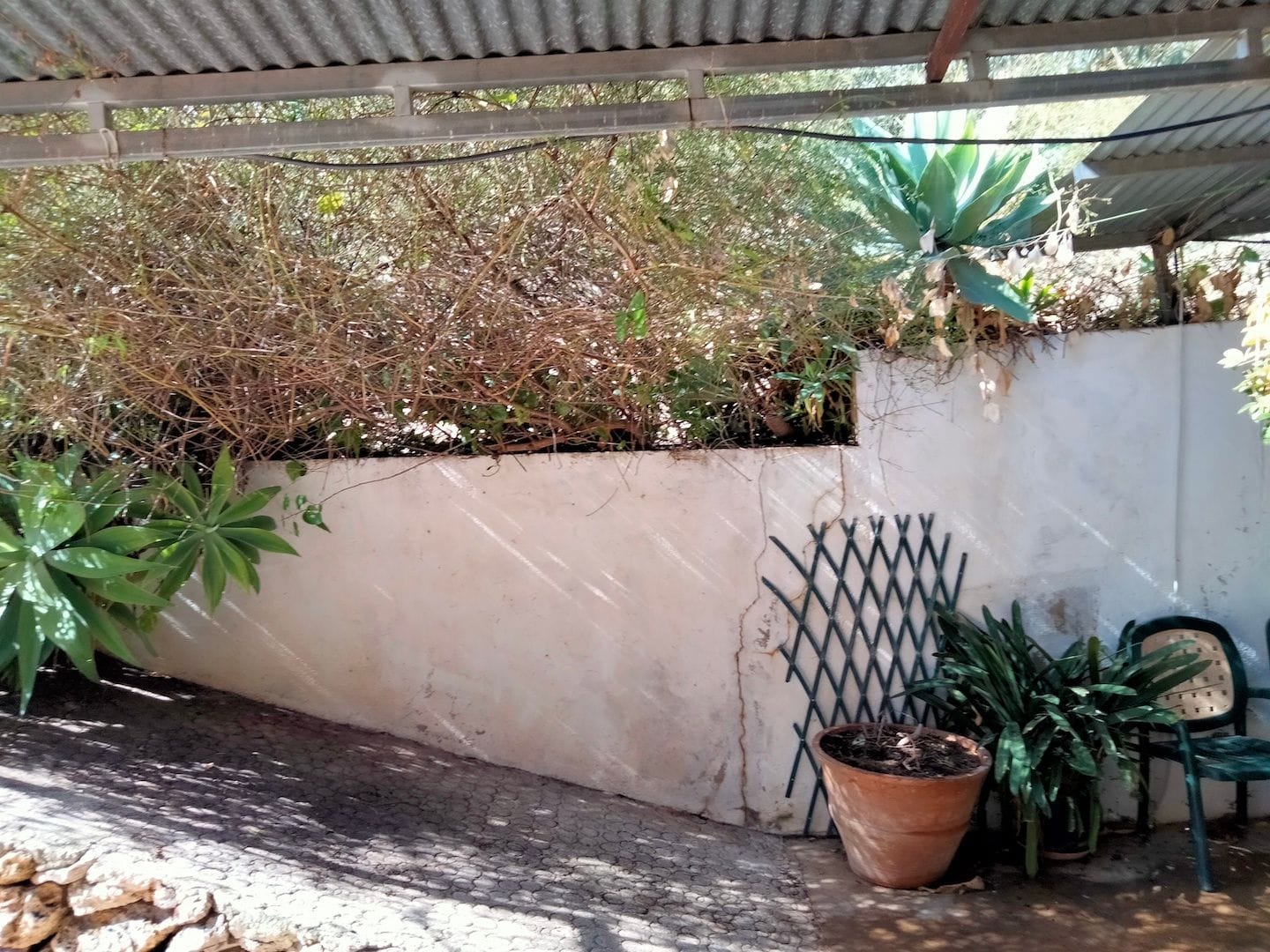 Farm for sale in Por Determinar
