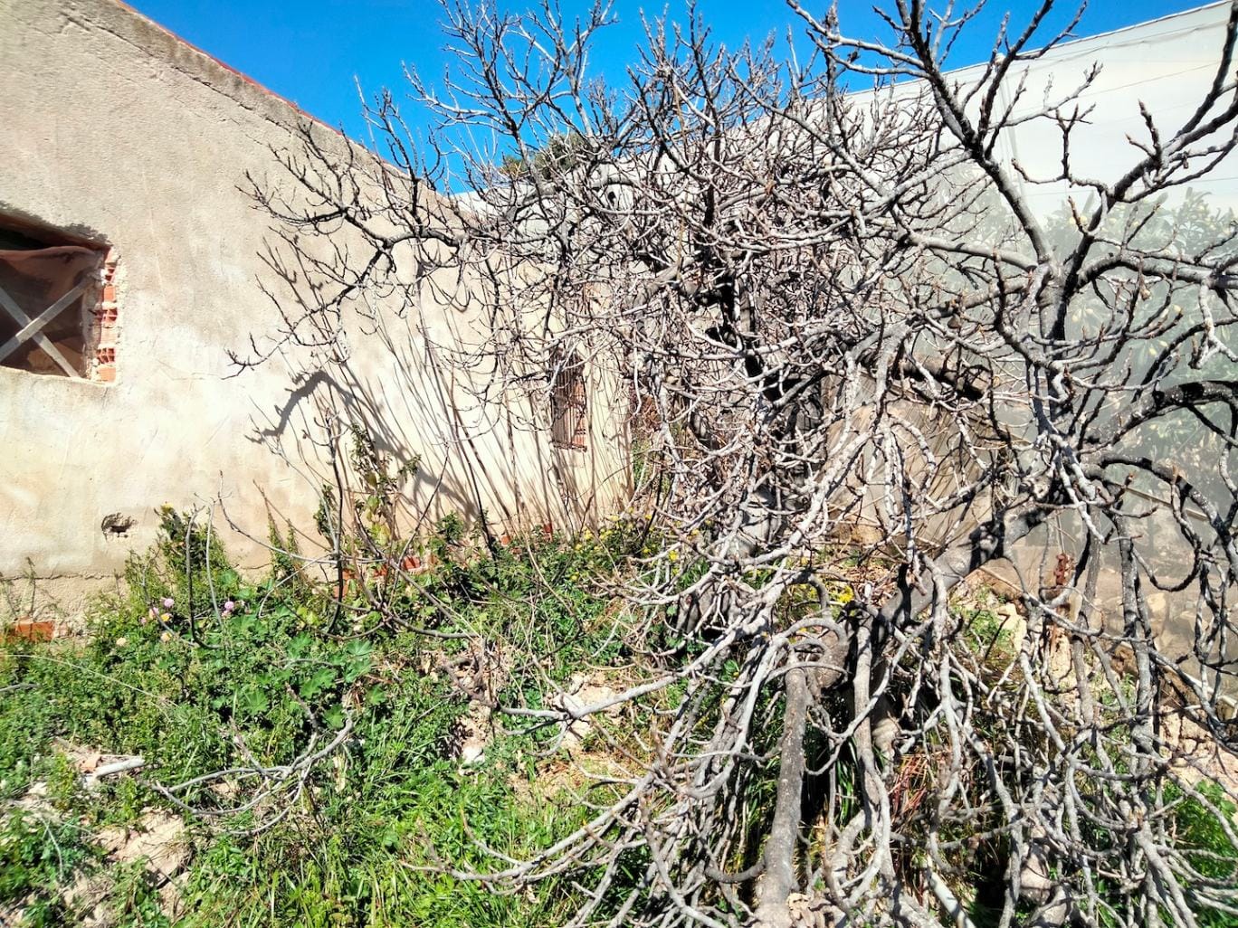 Farm for sale in Por Determinar