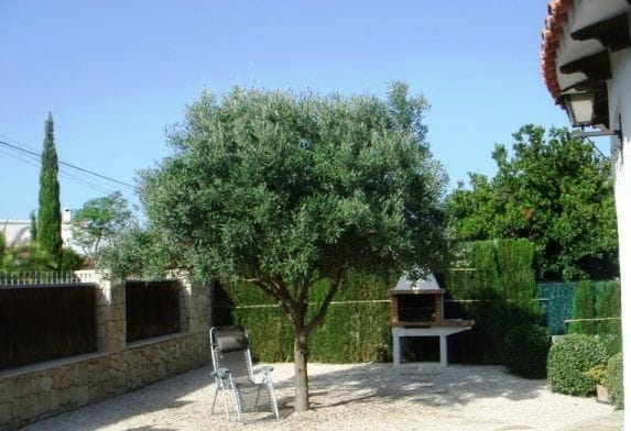Casa / Chalet en Venta en Pedreguer, Alicante