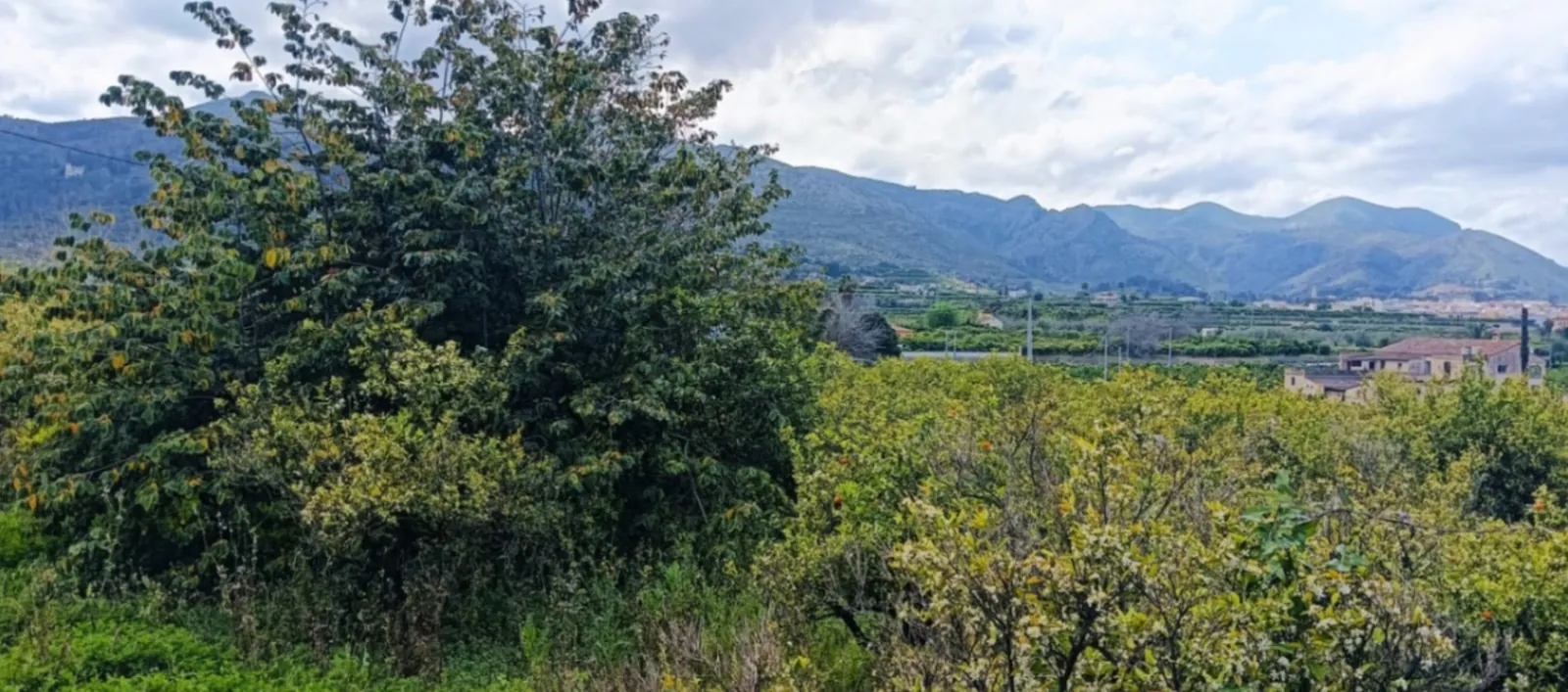 Terreno en Pego con agua, luz y posibilidad de construcción