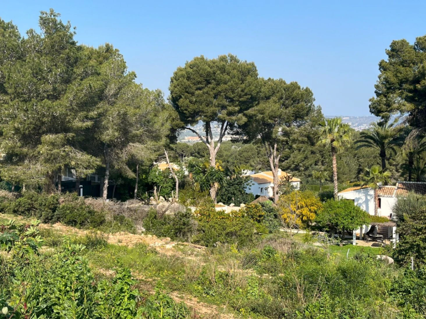 CP1196 - Parcela unica en Javea