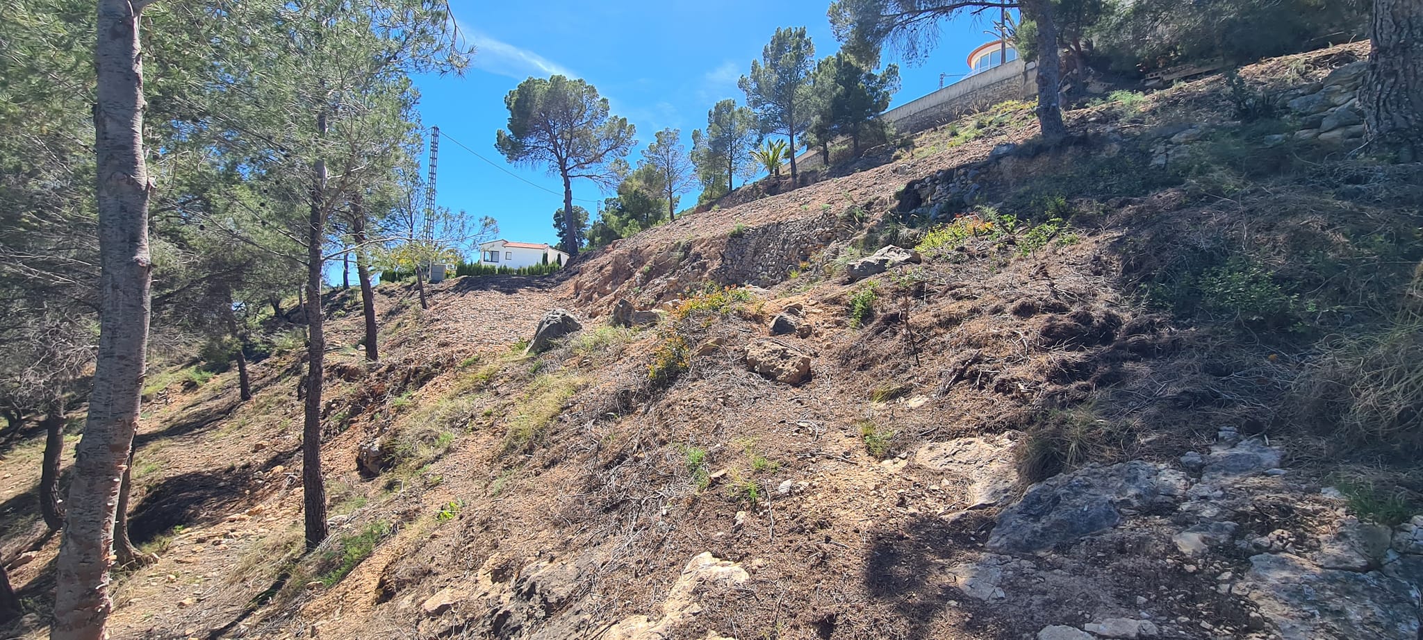 Parcela para construir 5 casas