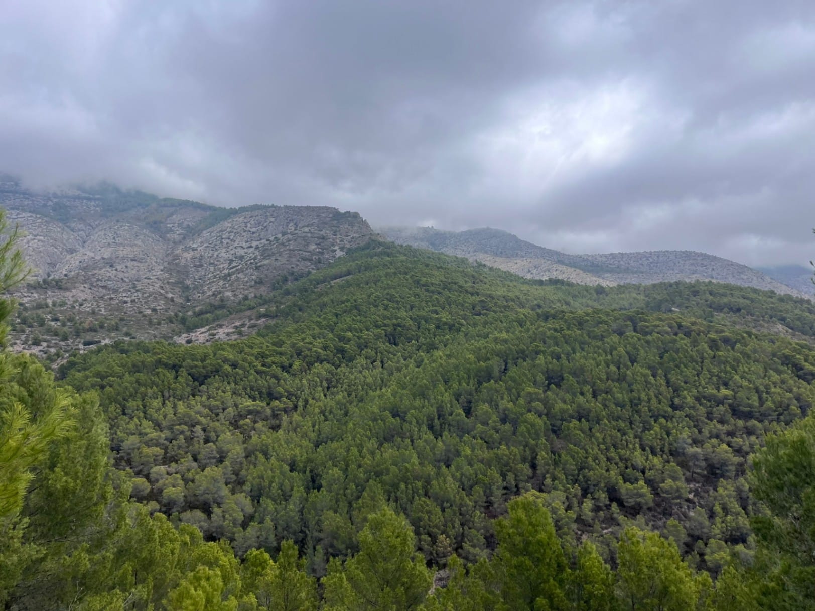 Se vende Conjunto de 7 Parcelas Urbanas en Callosa d'En Sarrià