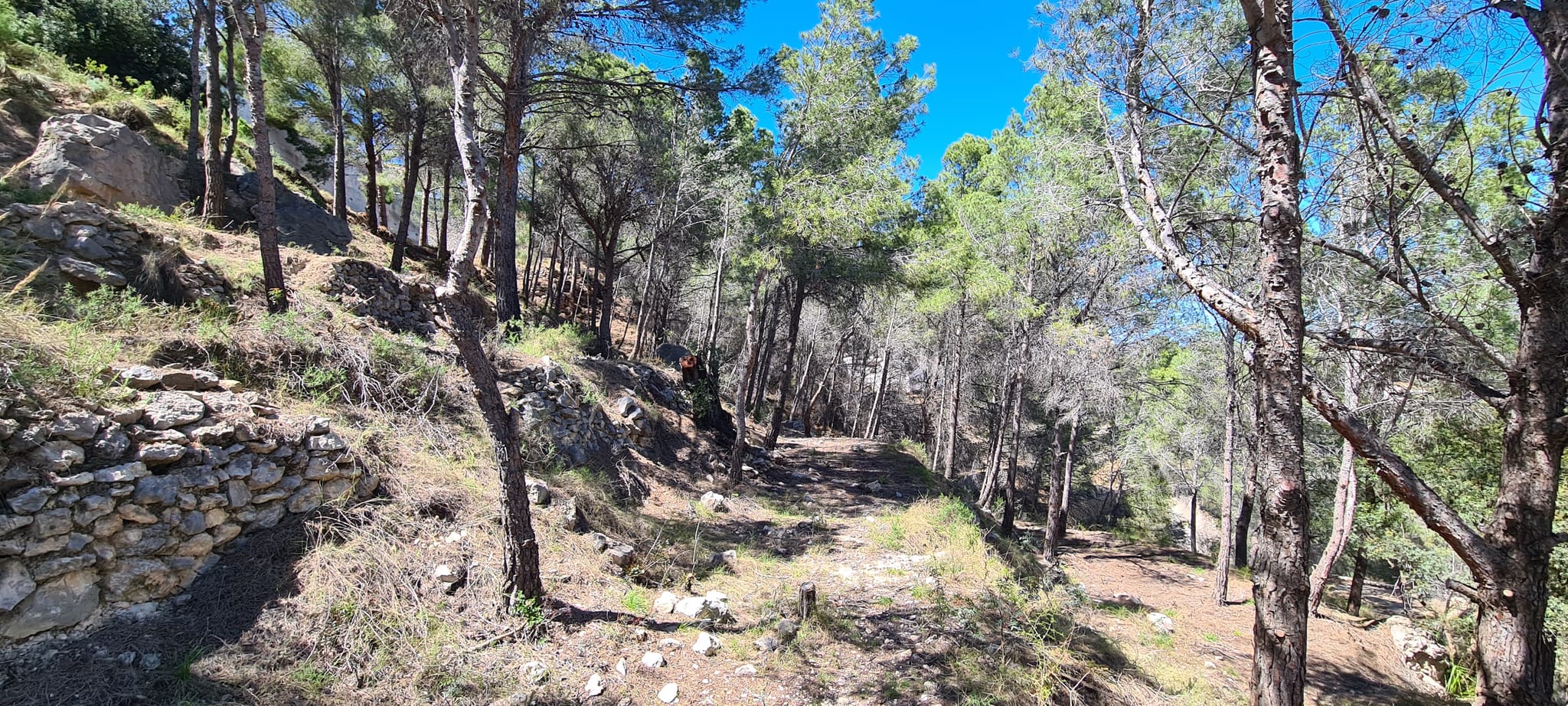 Parcela para construir 5 casas