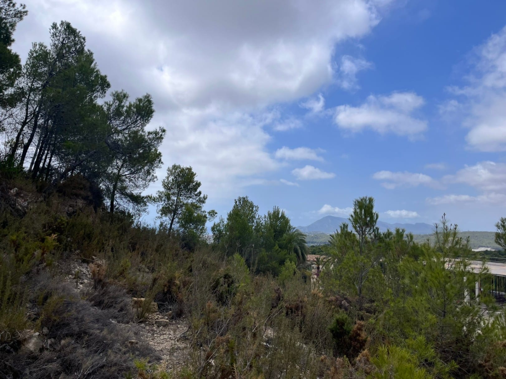 Se vende Conjunto de 7 Parcelas Urbanas en Callosa d'En Sarrià