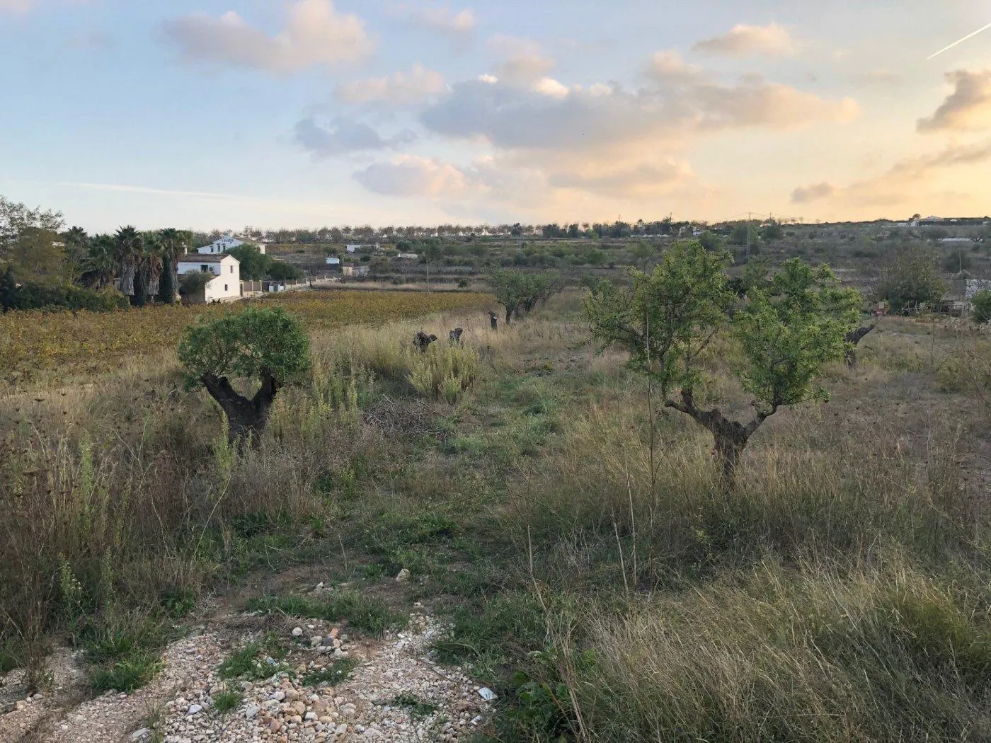 Parcela en venta en Benissa