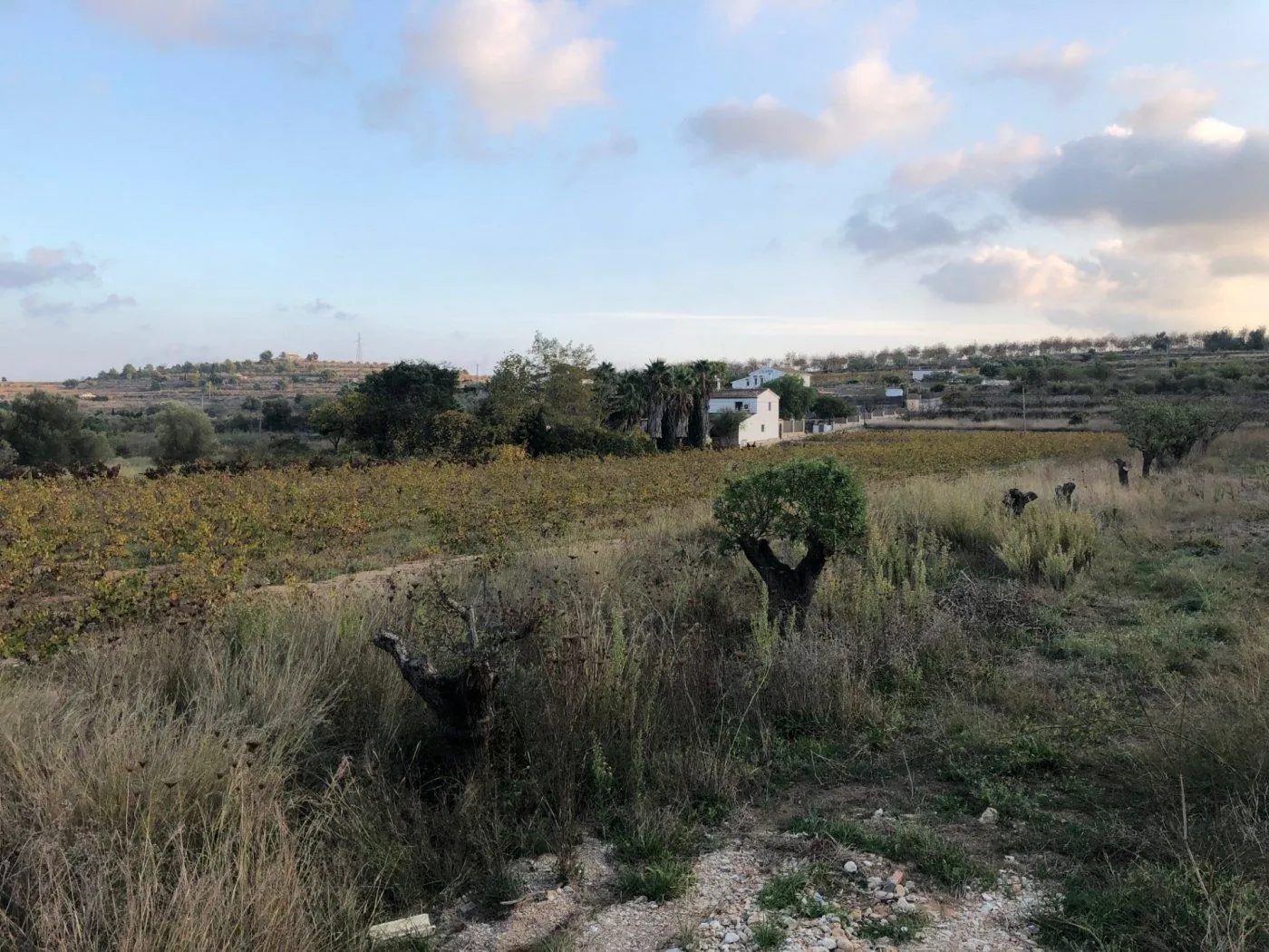 Parcela en venta en Benissa