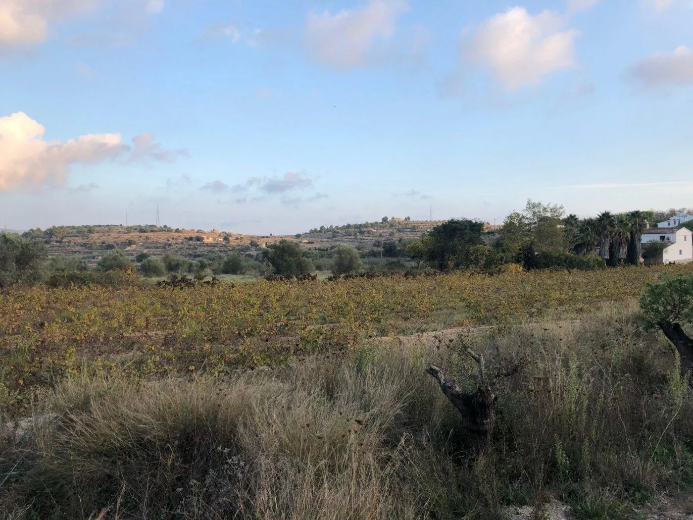Parcela en venta en Benissa
