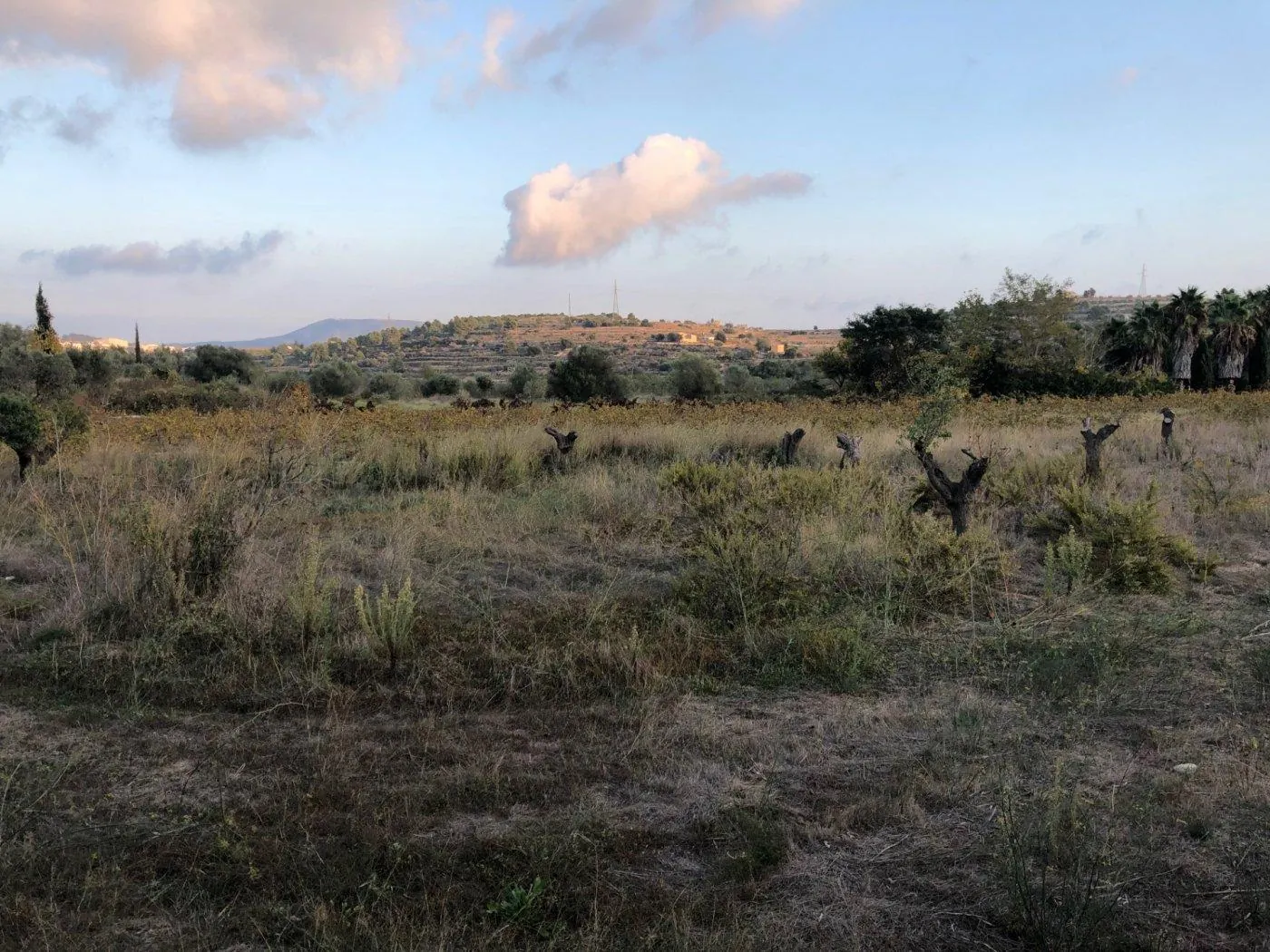 Parcela en venta en Benissa