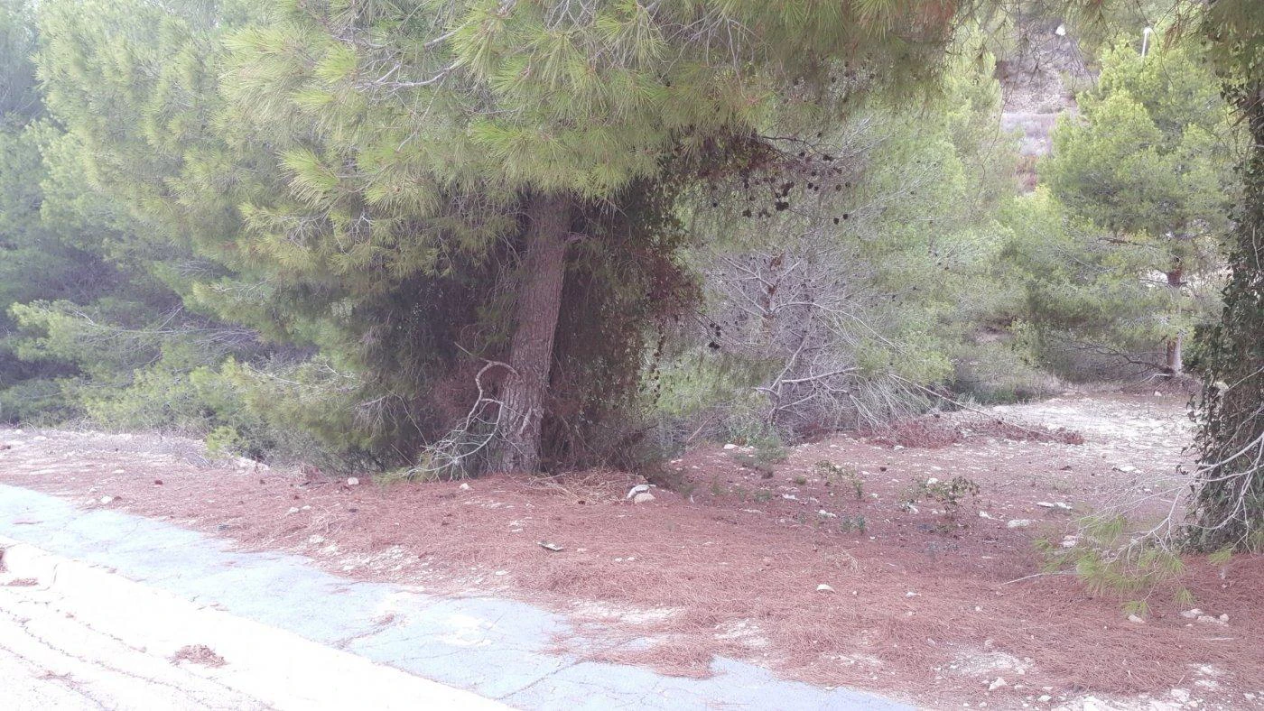 Parcela en venta en Calpe