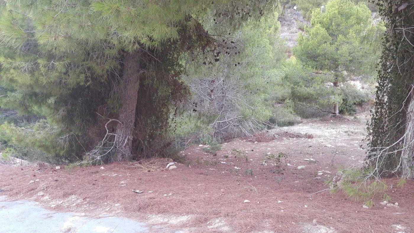 Parcela en venta en Calpe