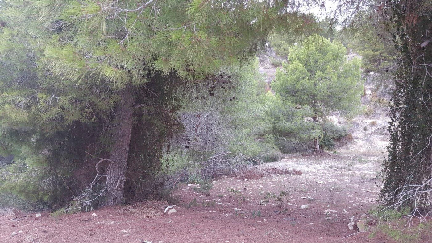 Parcela en venta en Calpe