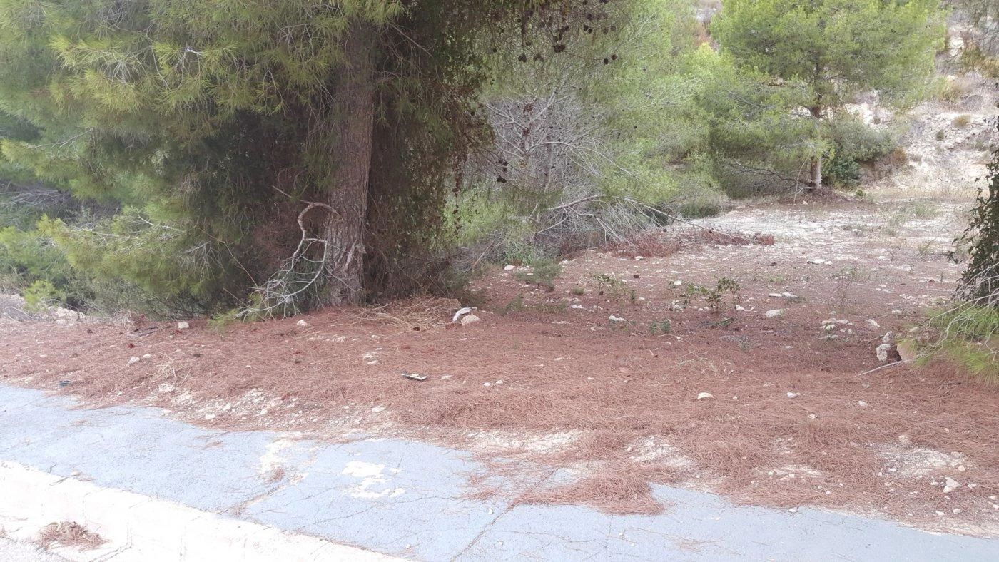 Parcela en venta en Calpe