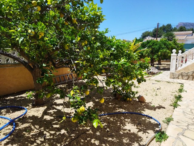 Villa Luminosa y Espaciosa con Jardín y Piscina Comunitaria