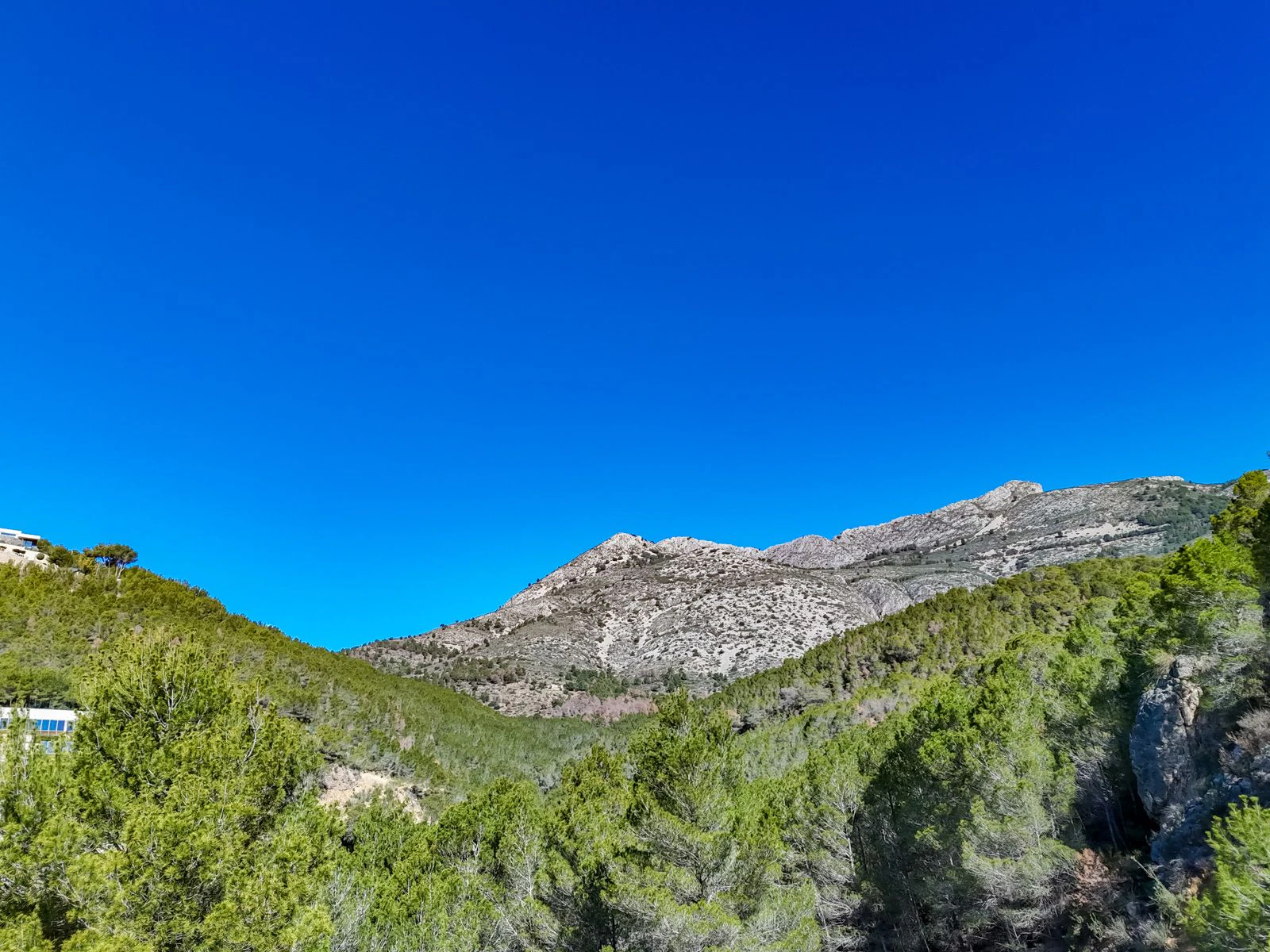 Se vende Conjunto de 7 Parcelas Urbanas en Callosa d'En Sarrià