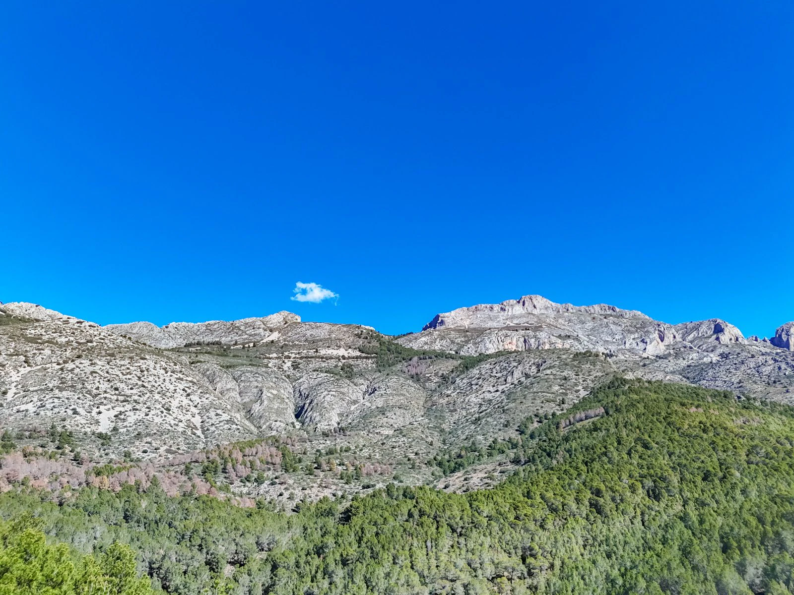 Urban Plot with Panoramic Sea Views in Altea