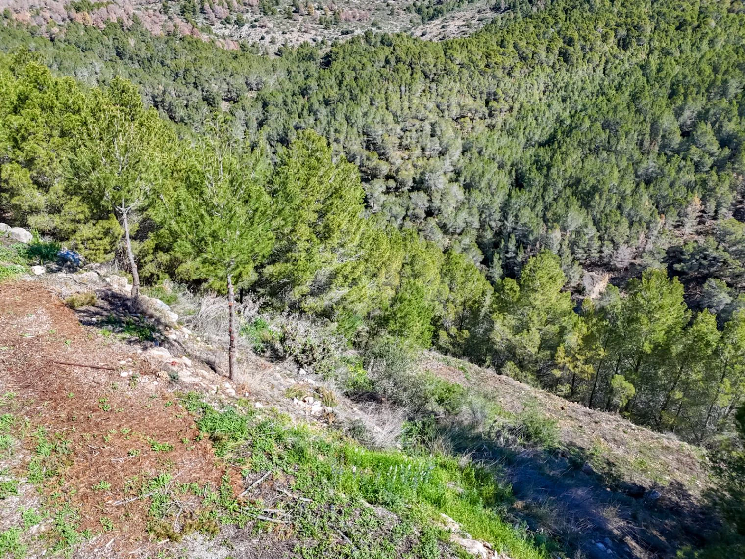 Terrain Urbain avec Vue Panoramique sur la Mer à Altea