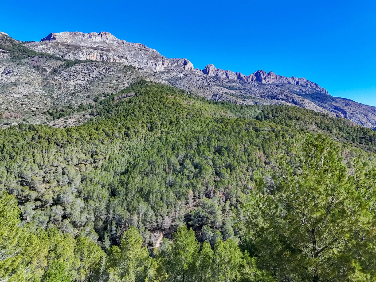 Terrain Urbain avec Vue Panoramique sur la Mer à Altea