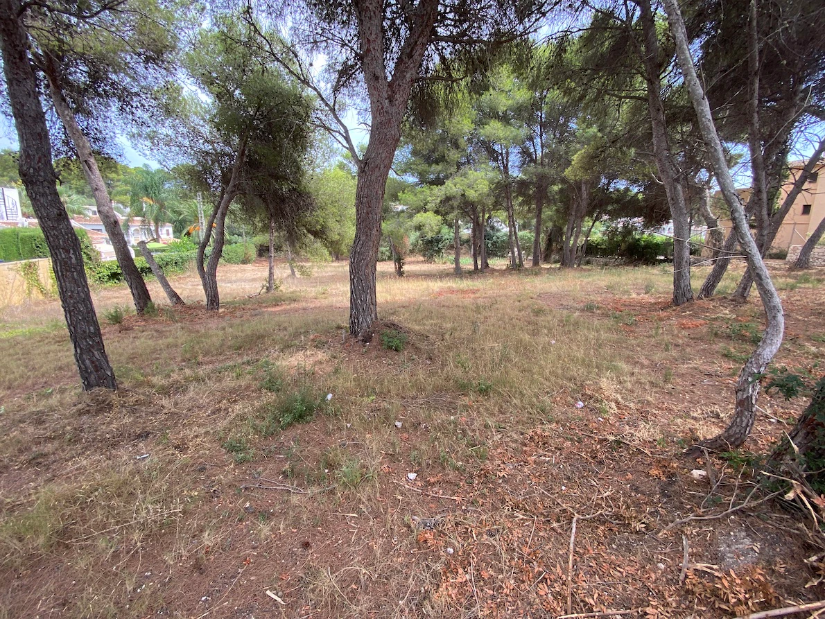 Plot en venta en Javea