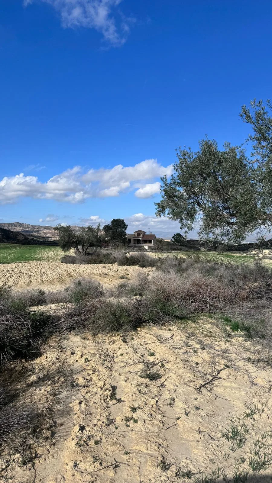 Finca Rural w Cañadas De San Pedro