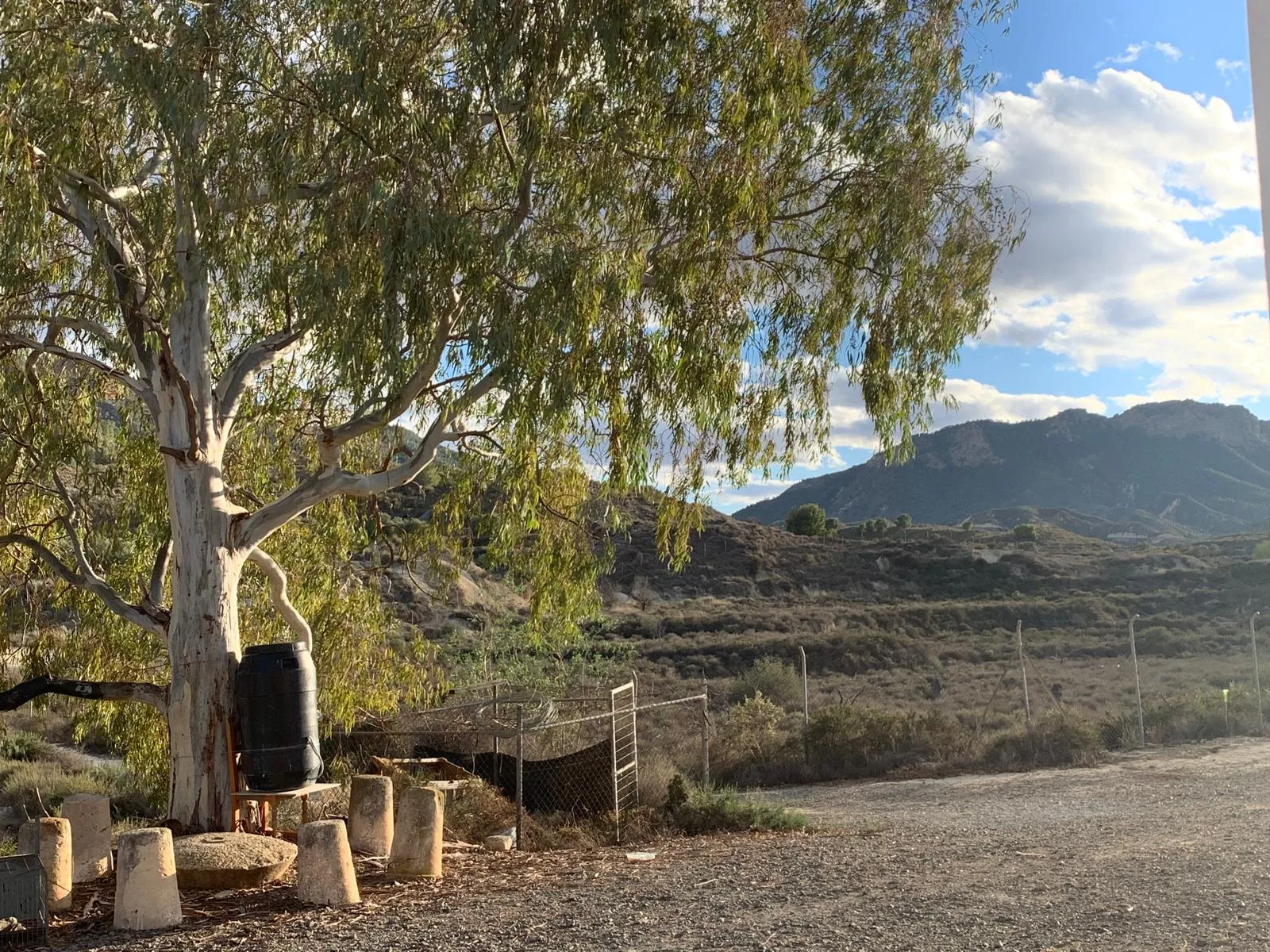 Finca Rural w Cañadas De San Pedro