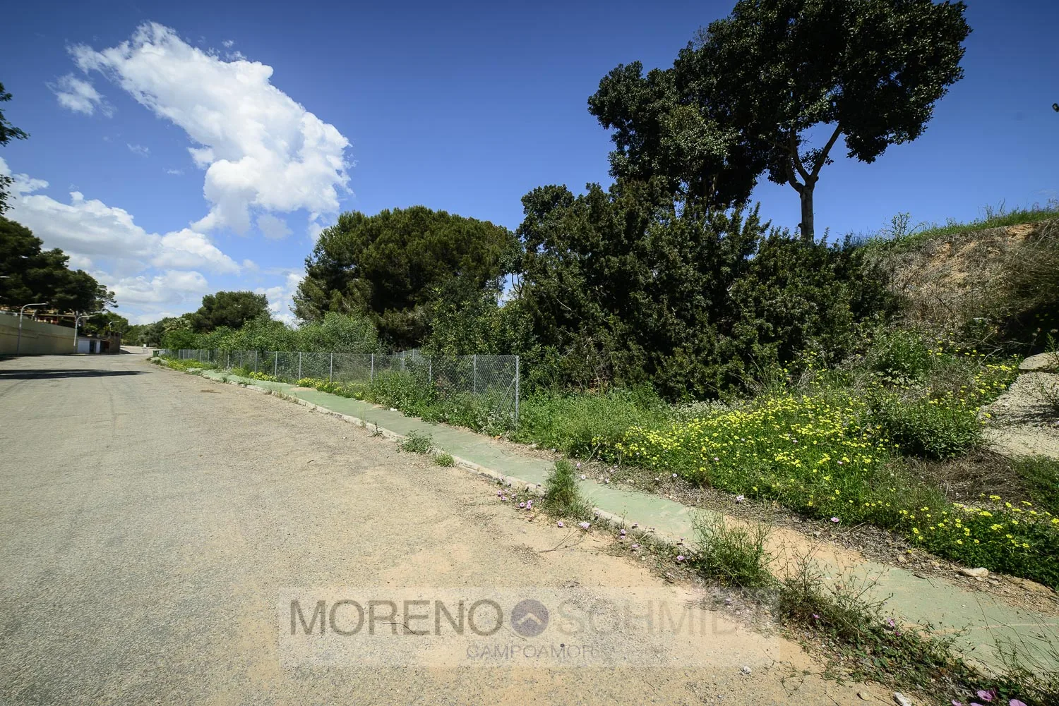 Plot w Dehesa De Campoamor