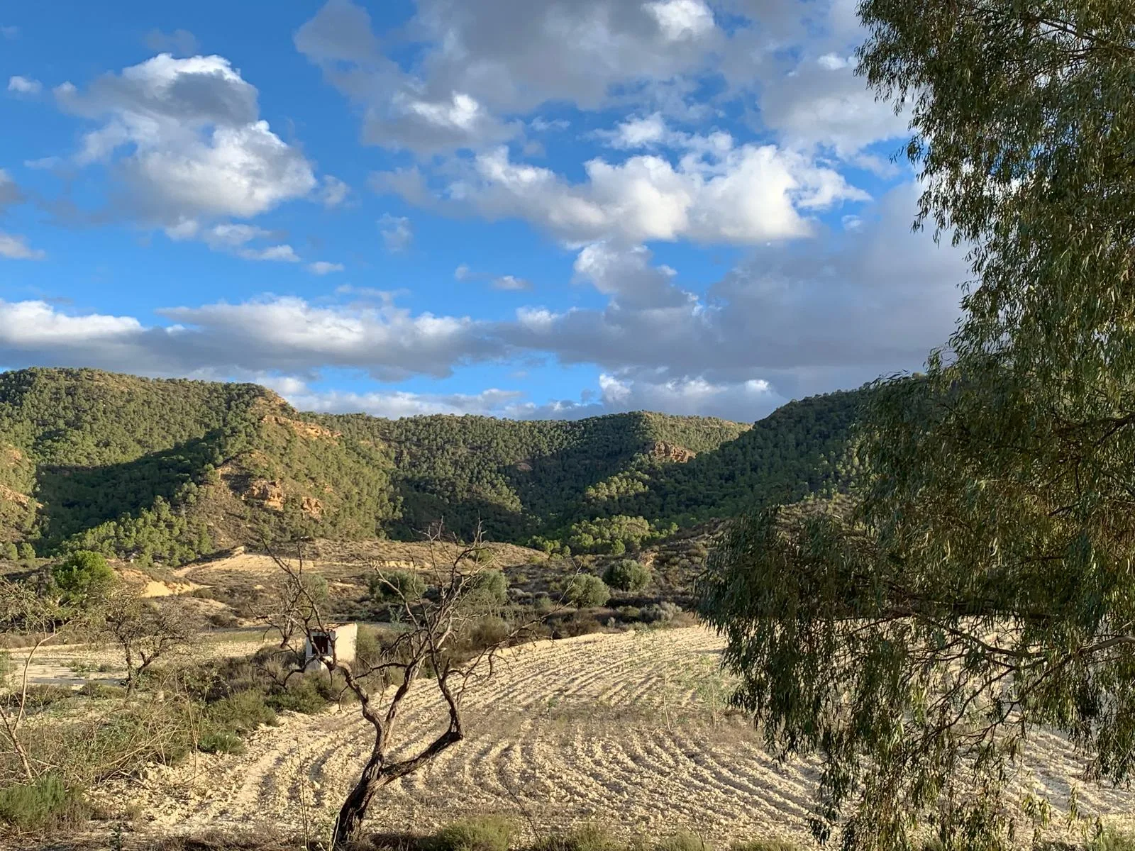 Finca Rural w Cañadas De San Pedro