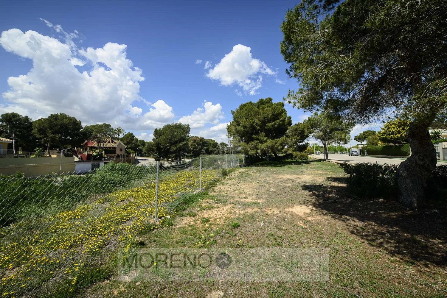 Plot w Dehesa De Campoamor