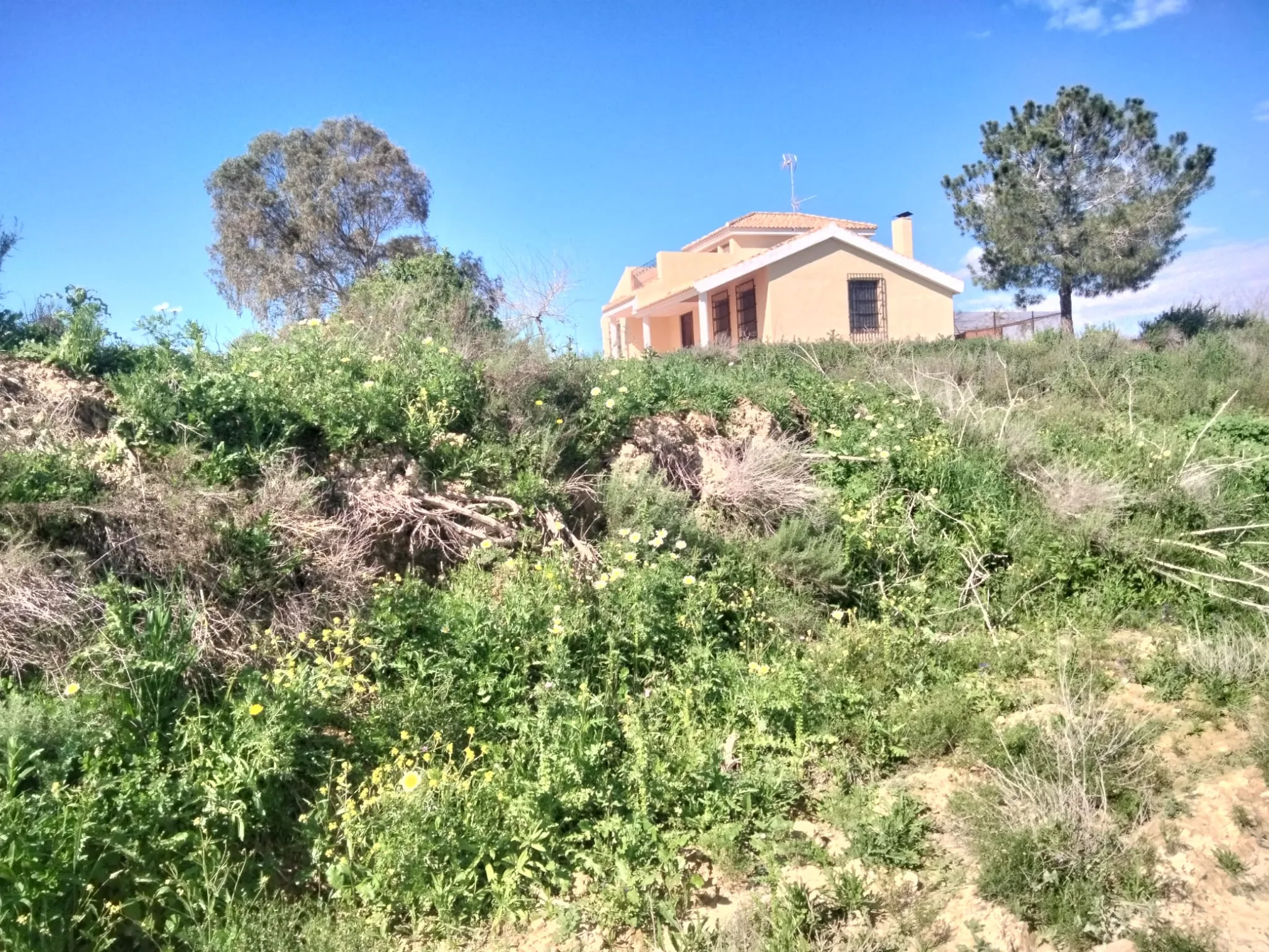 Finca Rural w Cañadas De San Pedro