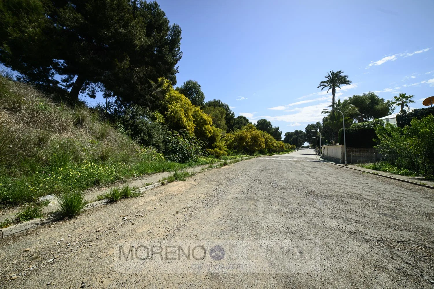 Plot w Dehesa De Campoamor