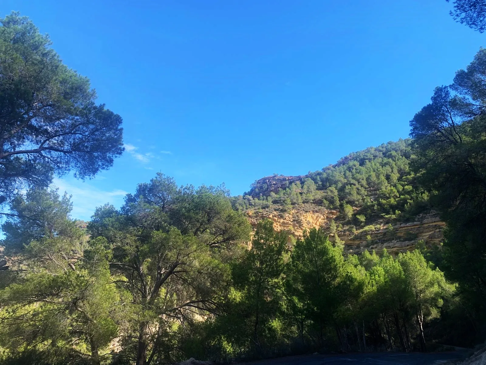 Finca Rural w Cañadas De San Pedro