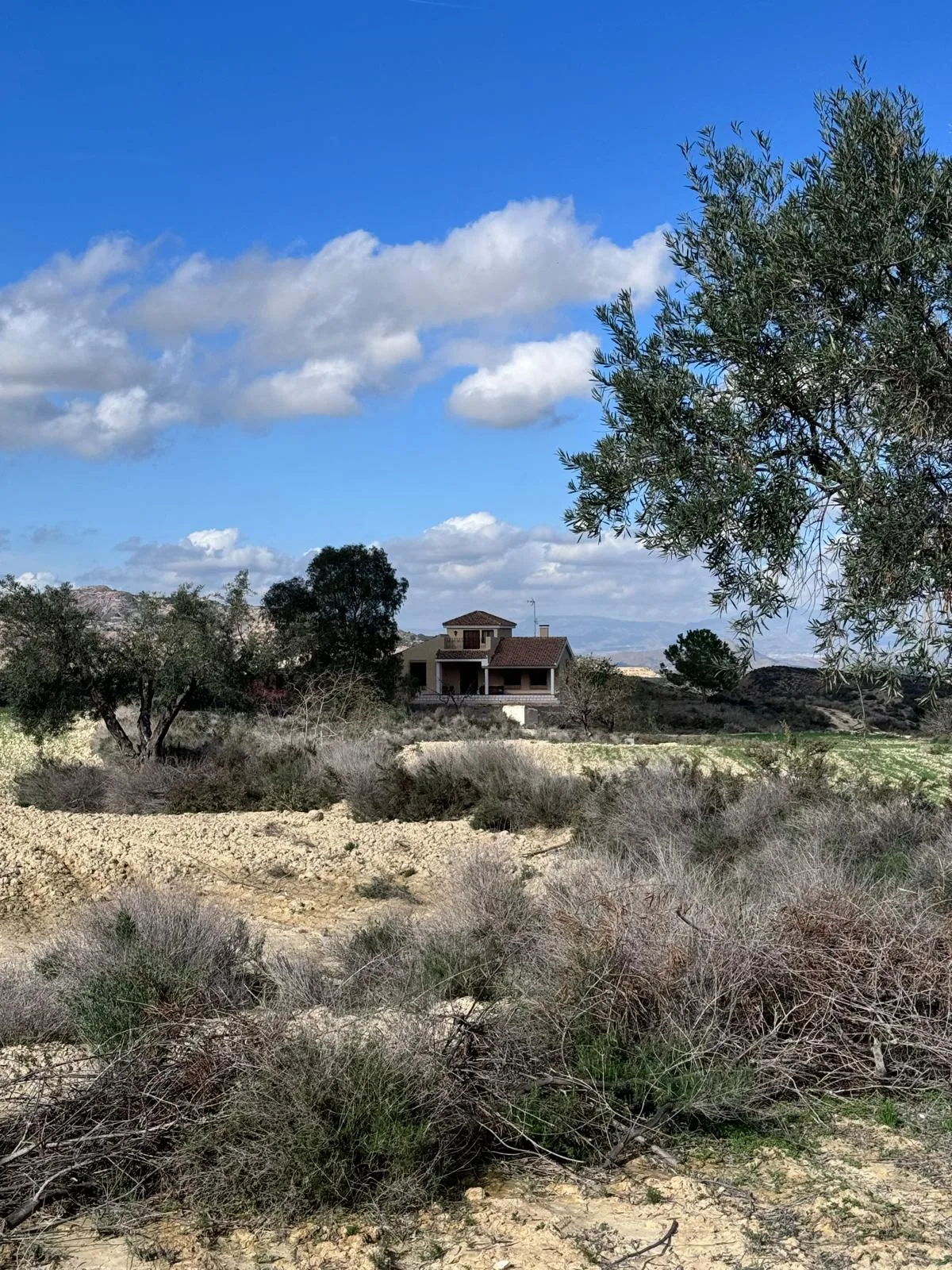 Finca Rural w Cañadas De San Pedro