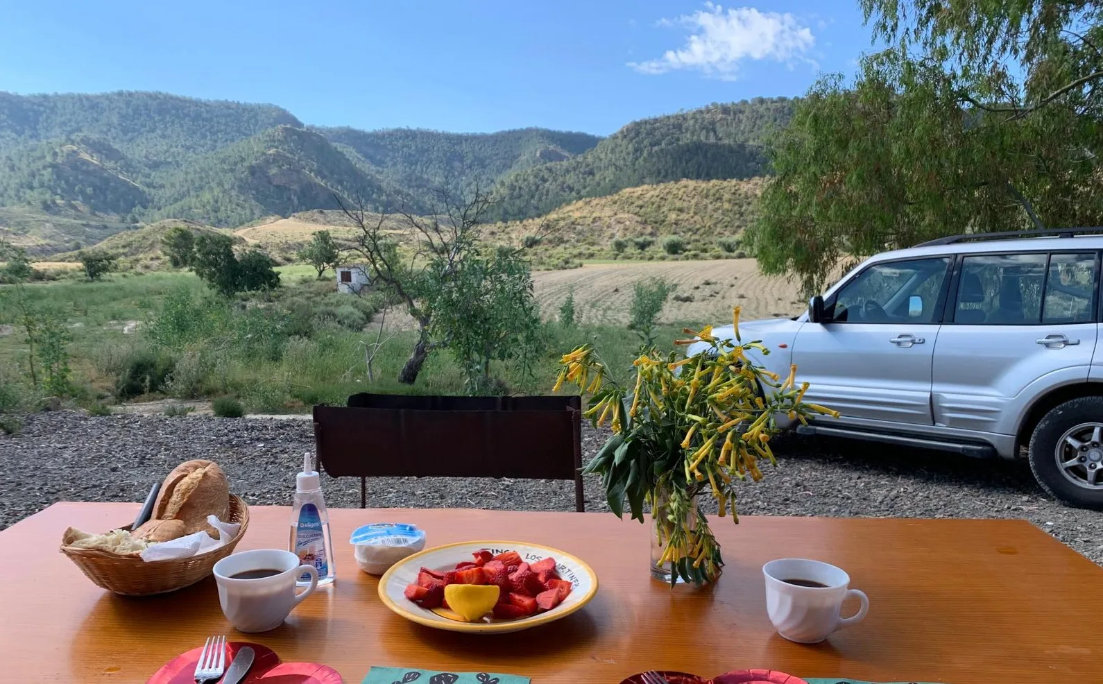 Finca Rural w Cañadas De San Pedro