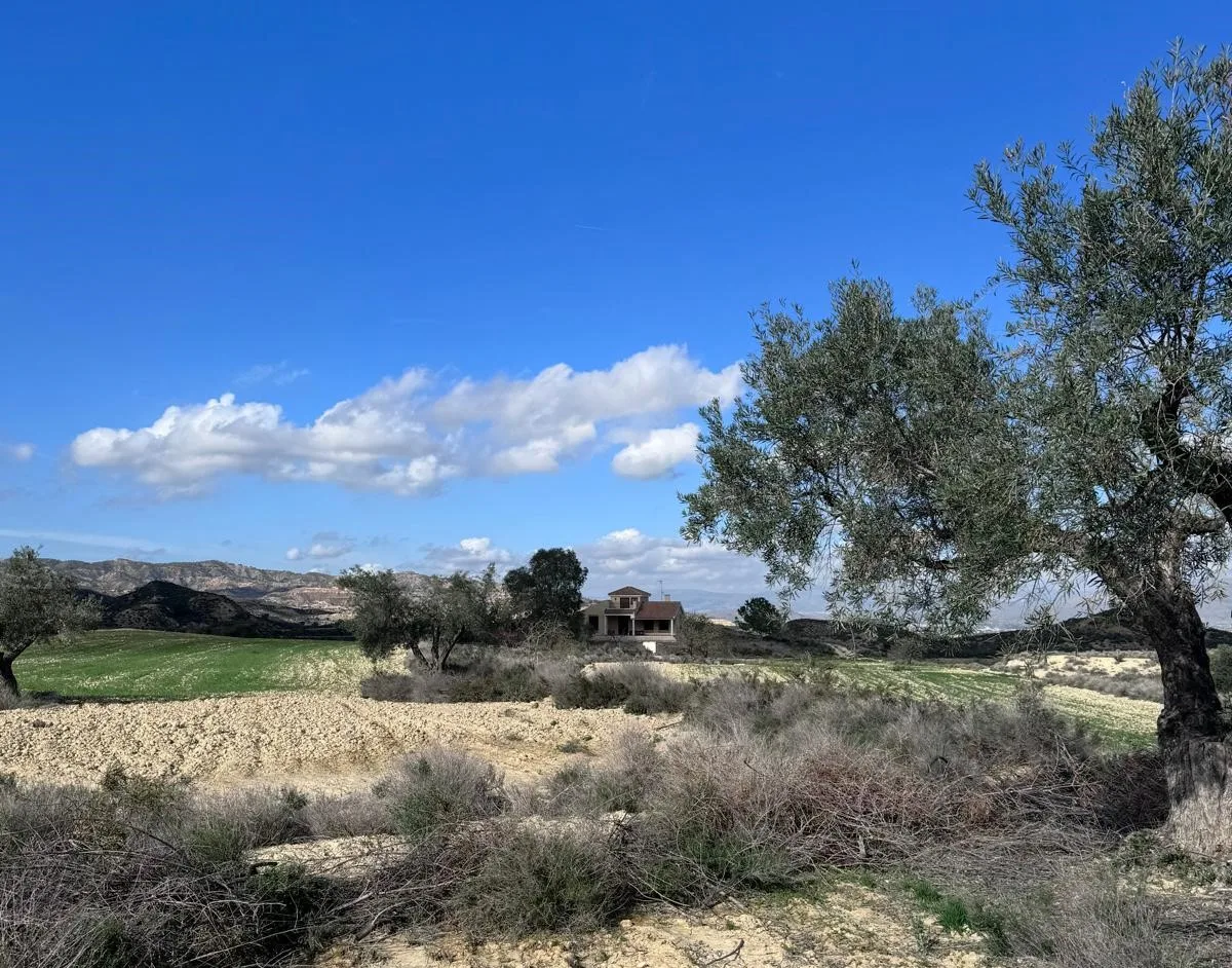 Finca Rural w Cañadas De San Pedro