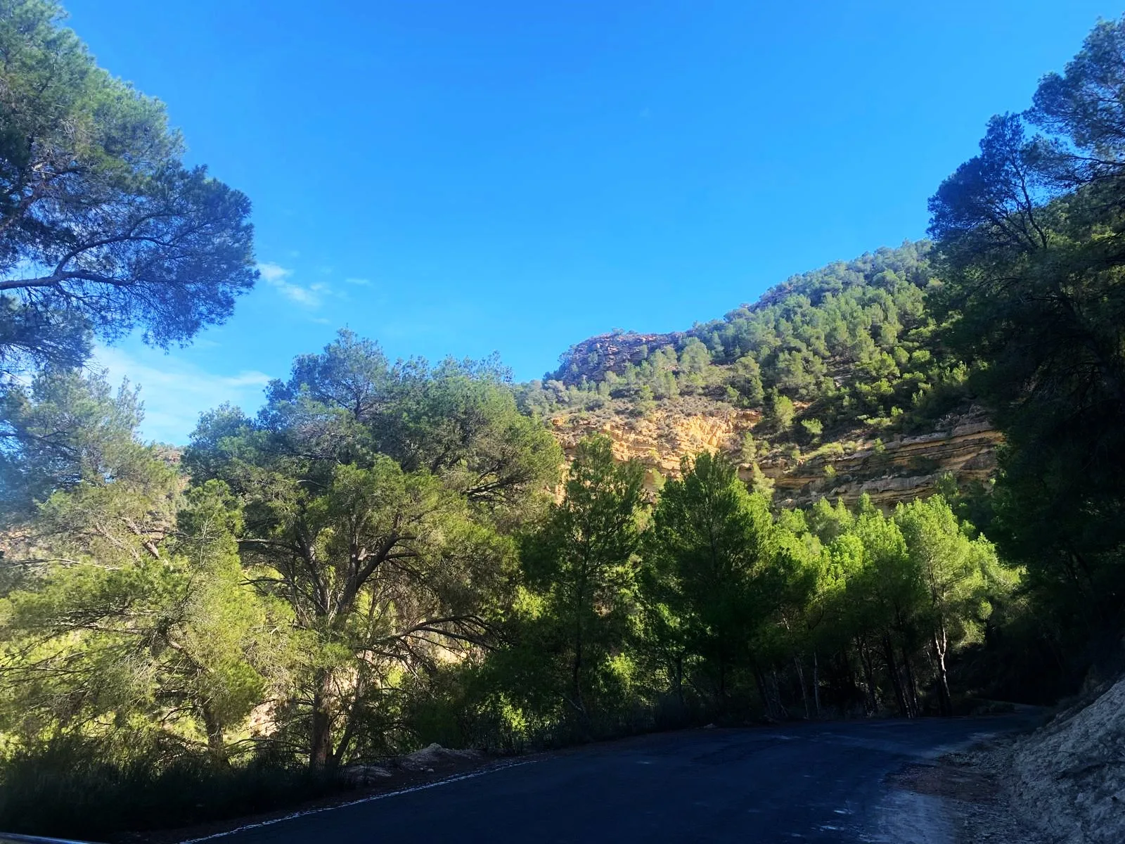 Finca Rural w Cañadas De San Pedro