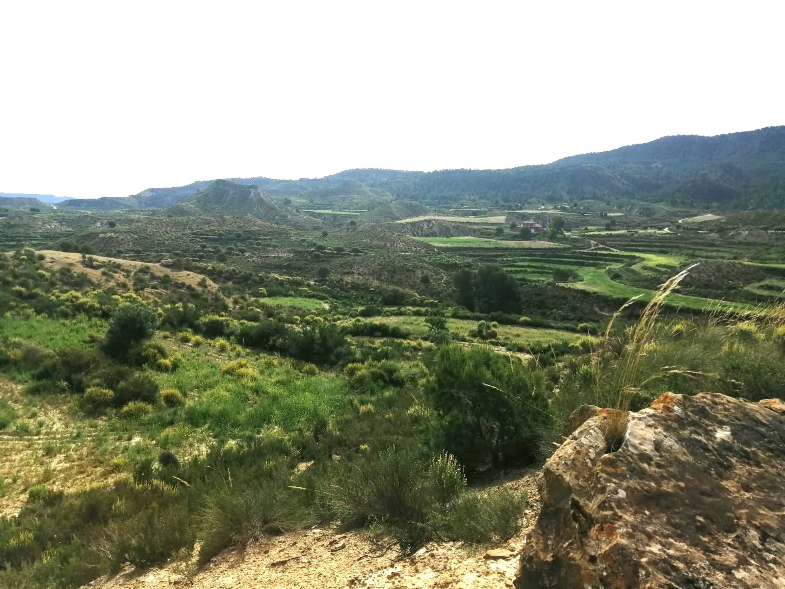 Finca Rural w Cañadas De San Pedro